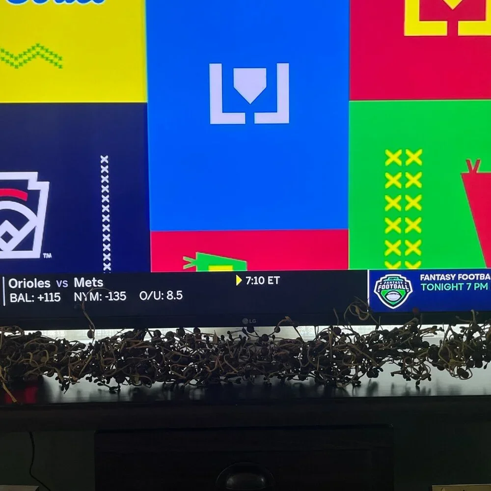 48